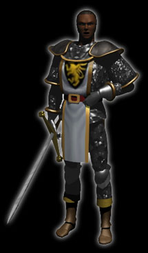 The Paladin