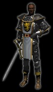 The Paladin